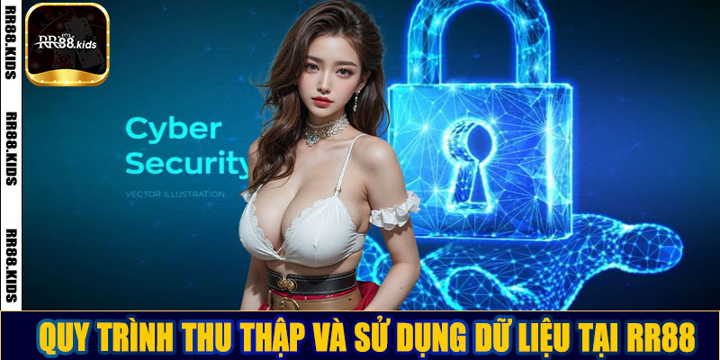Quy trình thu thập và sử dụng dữ liệu tại RR88